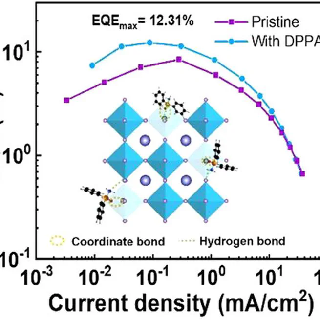 Hydrogen Bond-Assisted Dual Passivation for Blue Perovskite Light-Emitting Diodes